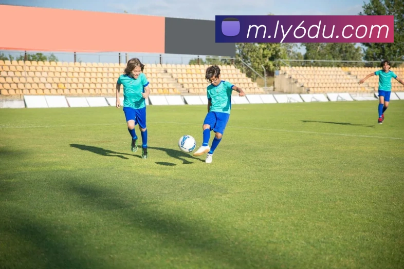 九州网页版平台生态图